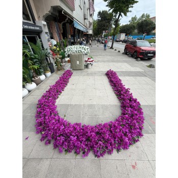 BEGONVİL