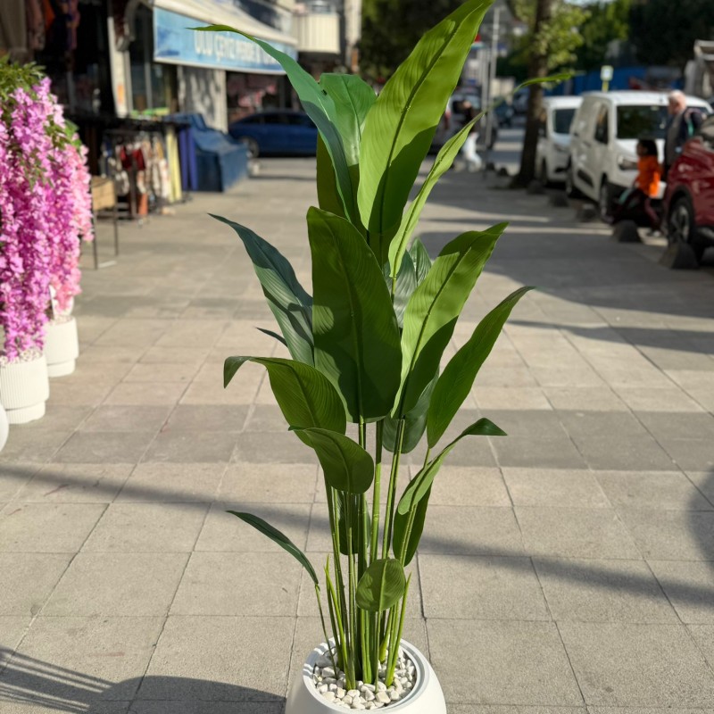 STARLİÇE