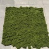 yosun halı 100 cm 100 cm
