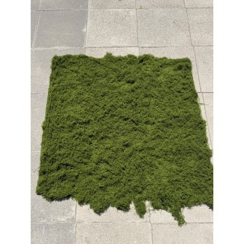 yosun halı 100 cm 100 cm
